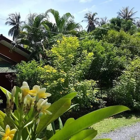Happy Resort-3