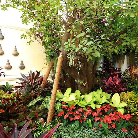 Viangluang Resort-3