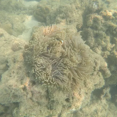 Laoliang Beach-2