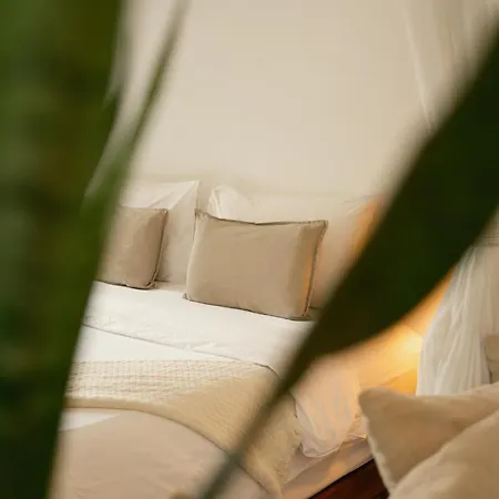 Big Tree Boutique Hotel-3