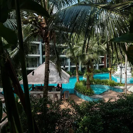 Hula Hula Resort L Truly Tropical And Fun Wellness-3