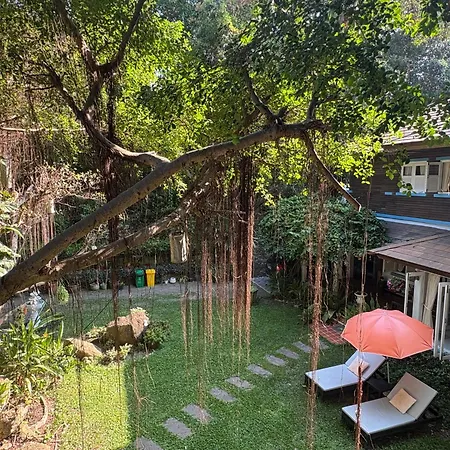 Banyan House Samui Bed And Breakfast (Adults Only)-2