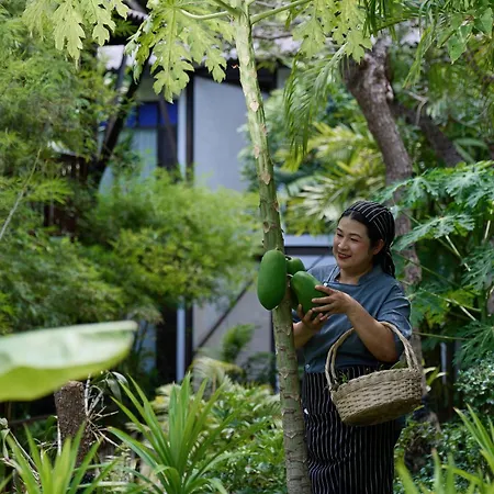 Homm Chura Samui (Adults Only)-2