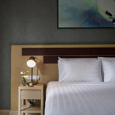 Shama Lakeview Asoke Bangkok-3