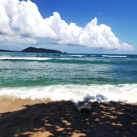 Oceanfront Beach Resort-2