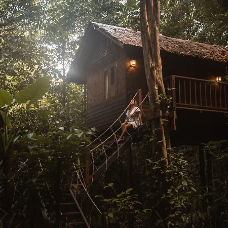 Our Jungle House-3