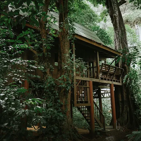Our Jungle House-2