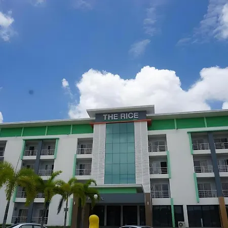 The Rice Hotel-2