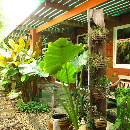P.Y. Guest House-3