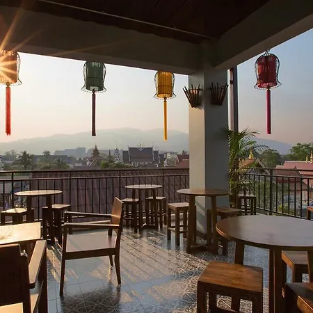 Green Tiger House-2