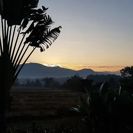 Ban Dalah Pai-2