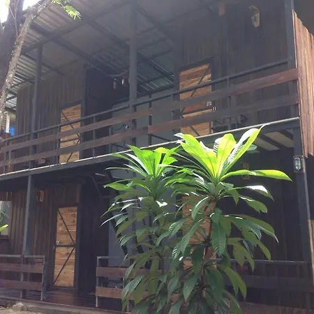The Shadow House & Bar-2