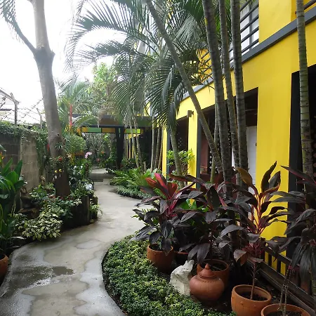 Baan Baimai Boutique Room-3