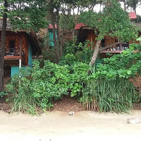Jungle Hill Beach Bungalow-3