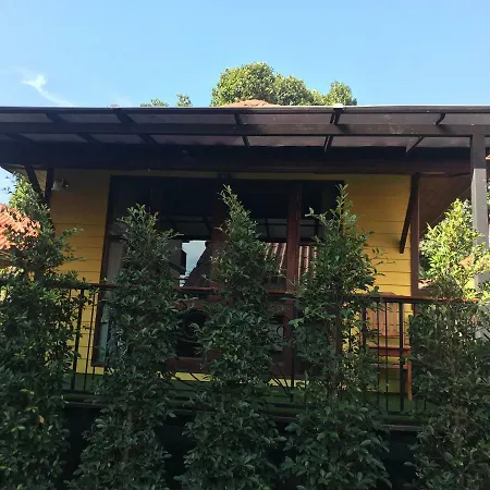 Ricci House Resort-2