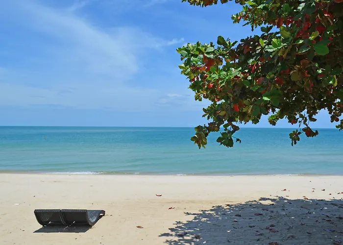 Aava And Spa