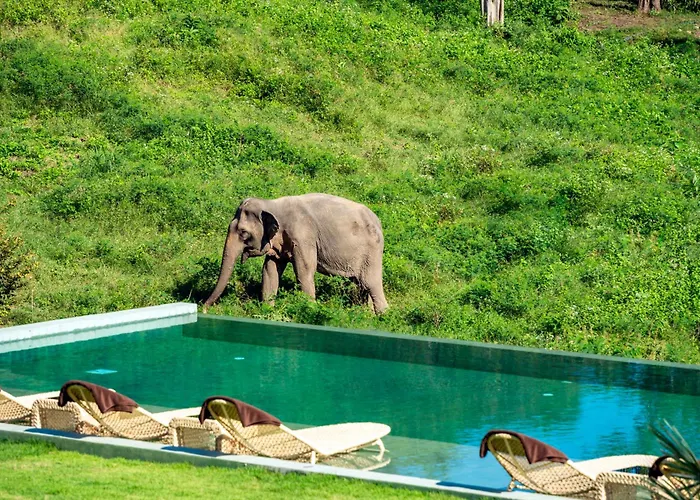 Wild Cottages Elephant Sanctuary Resort Bophut