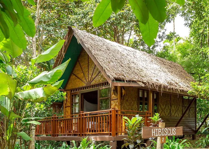 Our Jungle Camp - Eco Resort Phanom