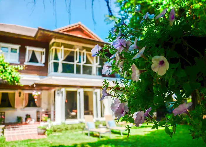 Banyan House Samui Bed And Breakfast (Adults Only)