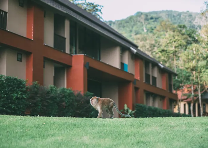 Tonsai Bay Resort