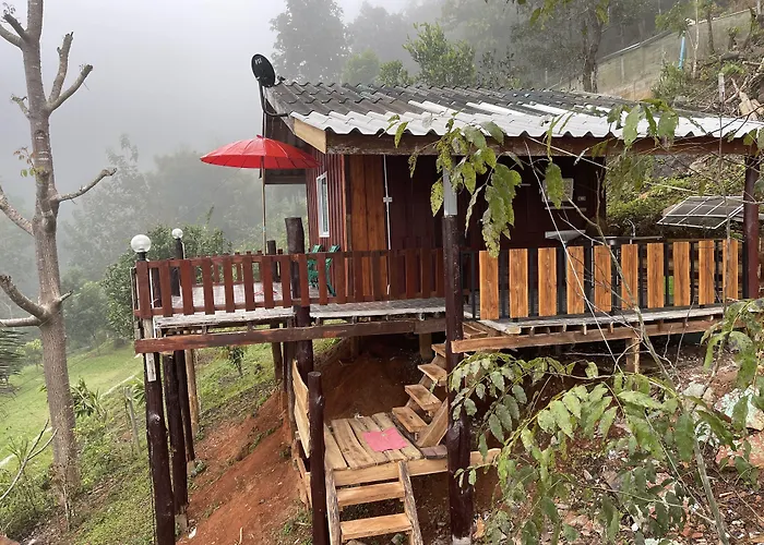 Forest Guesthouse