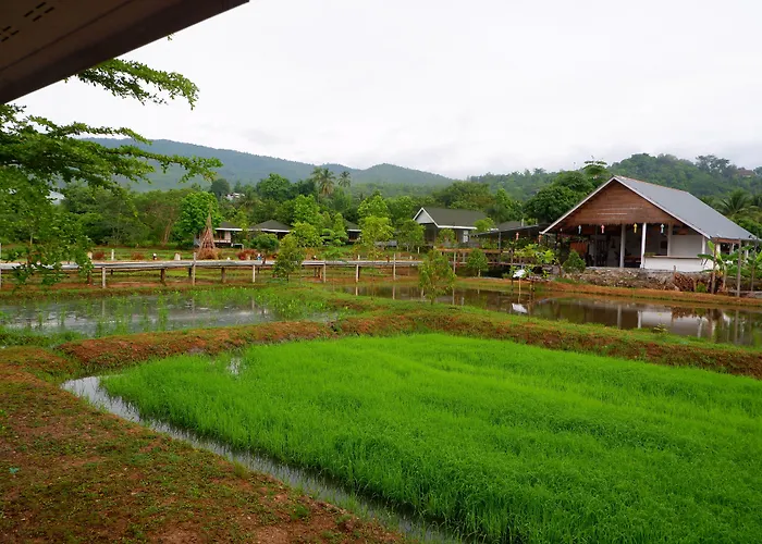 Nok Chan Mee Na Chom Thong
