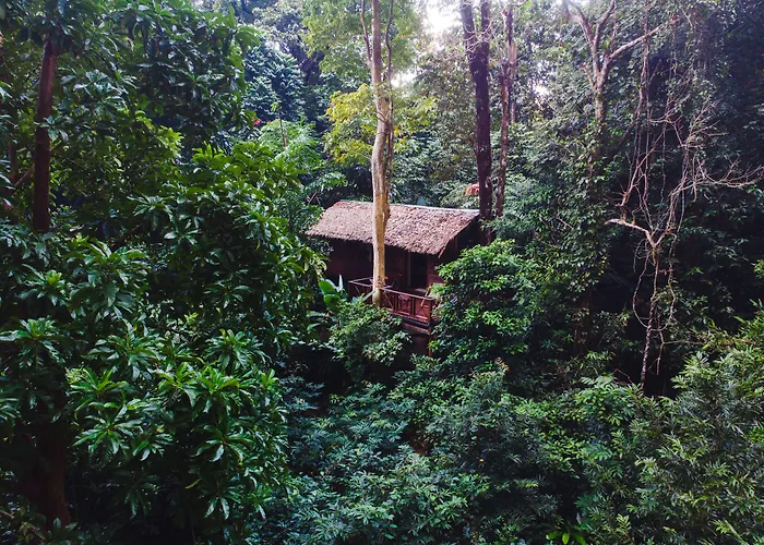 Hotel Our Jungle House Khao Sok National Park