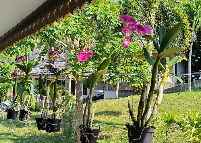 Phangan Orchid Resort