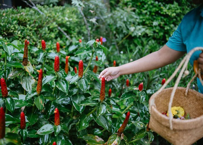 Na Sook Wellness Resort Ao Nam Mao