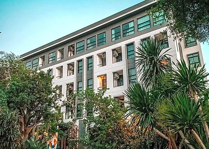 Oasis
