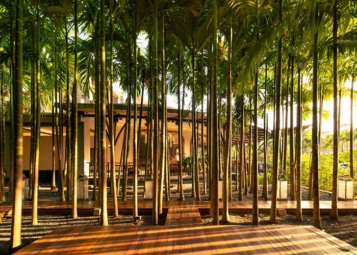 Areca Resort And Spa Kathu